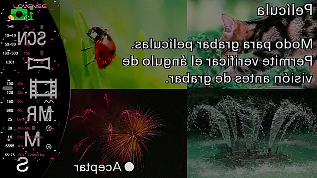 milly kenner online show from December 2024 04:53:02 PM