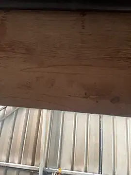 bigfatdick111 online show from March 2026 08:41:02 AM