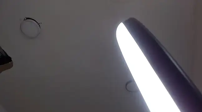 MurdockH online show from February 2025 09:02:01 AM