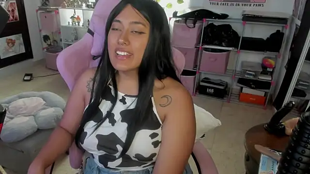 pawmistry online show from February 2025 02:17:02 AM