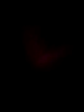 Boss199971 online show from November 2025 11:32:02 AM