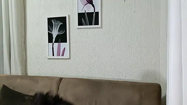 Blue butterfly online show from March 2025 05:05:02 AM