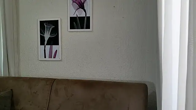 Blue butterfly online show from March 2025 02:00:01 PM