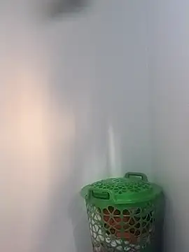 BriannaVincent online show from February 2026 04:39:02 AM