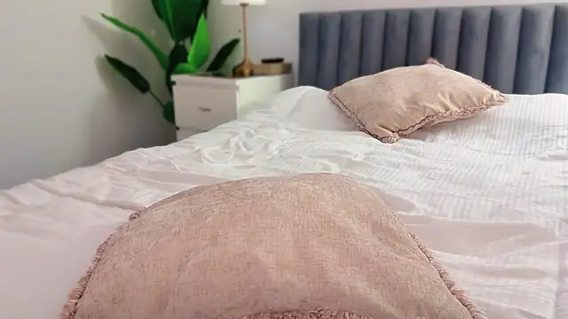 Myassistant online show from January 2026 09:08:01 PM