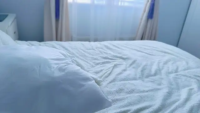 Myassistant online show from March 2026 12:53:01 PM