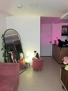 Snapshot of DakotaShelby chatting on January 2025 08:37:02 PM DakotaShelby online show from January 2025 08:37:02 PM