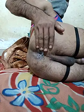 Newalcock online show from December 2024 03:28:01 PM