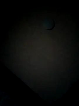 minitranca online show from February 2026 10:05:02 PM