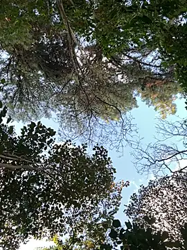 Snapshot of _PhillipBrown chatting on September 2025 11:32:02 AM PhillipBrown online show from September 2025 11:32:02 AM