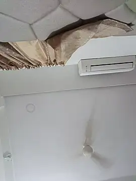 Snapshot of ridetoheaven chatting on March 2026 02:25:01 AM ridetoheaven online show from March 2026 02:25:01 AM