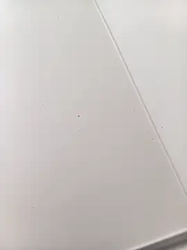 bbferlinaa online show from March 2026 07:50:02 PM