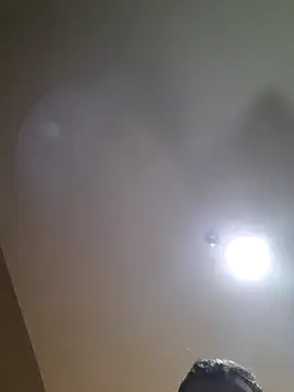 Colorao4 online show from October 2025 11:17:01 AM