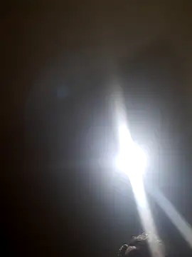 Colorao4 online show from October 2025 07:34:01 AM