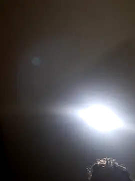 Colorao4 online show from November 2025 04:23:02 AM