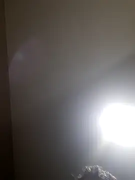 Colorao4 online show from November 2025 07:47:02 PM