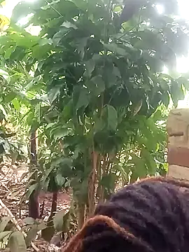 Snapshot of Black_juicy24 chatting on January 2025 12:01:01 PM Black juicy24 online show from January 2025 12:01:01 PM