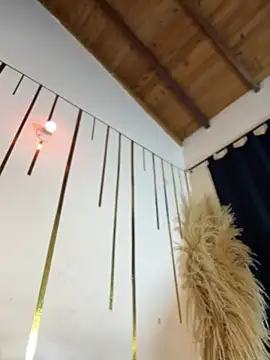 Snapshot of LylaLee111 chatting on February 2025 04:00:02 PM LylaLee111 online show from February 2025 04:00:02 PM