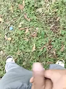 C vas  online show from March 2025 08:21:01 PM