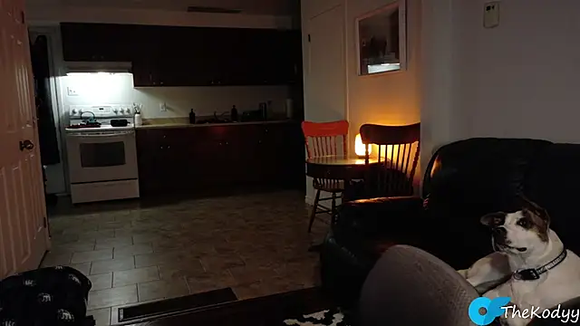 Thekodyy online show from January 2026 06:27:01 AM