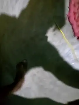 hotbaby 5 online show from January 2025 02:52:01 PM