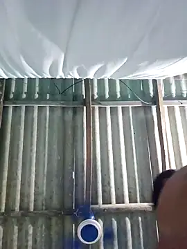 hotbaby 5 online show from November 2025 06:16:02 AM