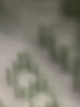 Snapshot of Estefanii- chatting on December 2024 01:32:02 PM Estefanii- online show from December 2024 01:32:02 PM