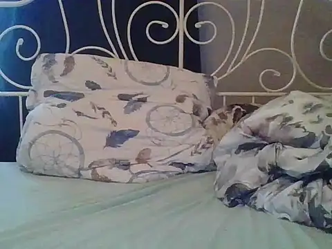 Snapshot of sympatyczny223 chatting on March 2025 08:04:02 AM sympatyczny223 online show from March 2025 08:04:02 AM