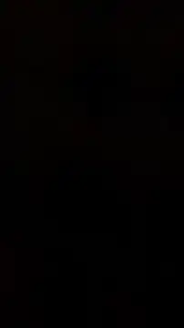 frnk30151 online show from October 2025 02:06:02 PM