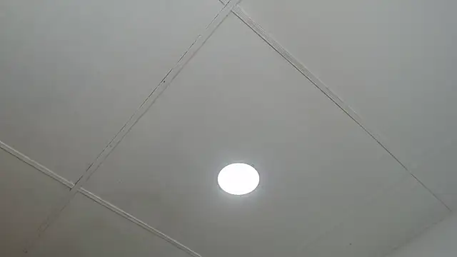 dannaberlin 0 online show from March 2025 12:46:01 PM