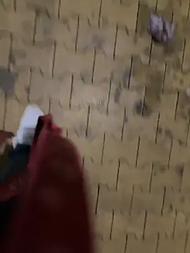 maiolullo online show from November 2025 12:35:01 AM