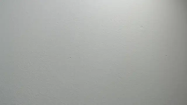 sussy leon online show from February 2025 12:16:01 PM