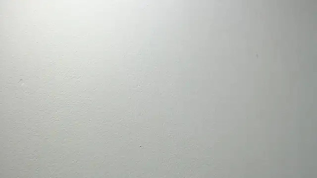 sussy leon online show from February 2025 12:15:02 PM