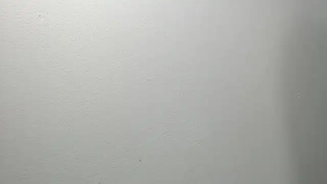 sussy leon online show from March 2025 12:22:02 PM