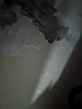 Jorgelopez4312 online show from December 2025 03:49:02 AM