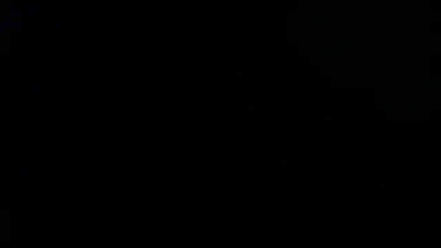 bulma milk online show from December 2024 05:07:01 AM