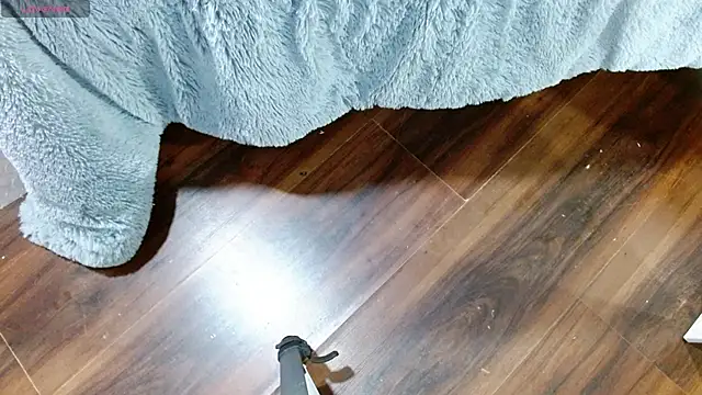 Aurora blossom   online show from January 2025 12:32:02 PM