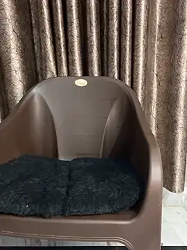 Sexo shivani online show from October 2025 02:40:01 PM