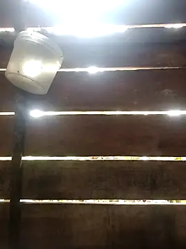 Huebolocko online show from January 2025 01:41:02 PM