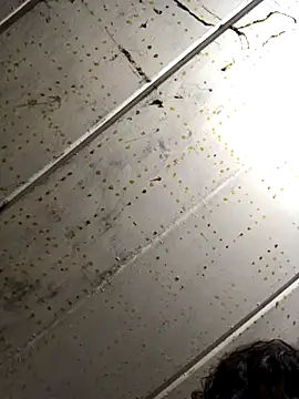 macg96 online show from December 2024 07:17:02 AM