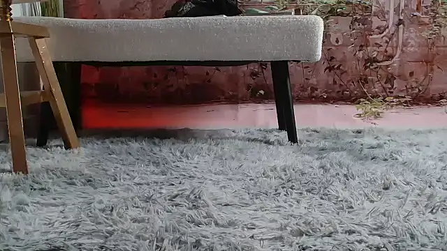 Snapshot of priselvis23 chatting on March 2025 06:22:01 PM priselvis23 online show from March 2025 06:22:01 PM