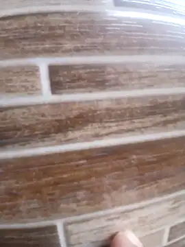 Snapshot of Pr3To021 chatting on March 2025 06:31:01 PM Pr3To021 online show from March 2025 06:31:01 PM