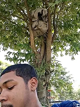 Snapshot of Pr3To021 chatting on September 2025 02:40:01 PM Pr3To021 online show from September 2025 02:40:01 PM