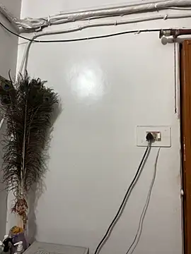 Snapshot of John_desihunk chatting on November 2025 09:30:01 AM John desihunk online show from November 2025 09:30:01 AM