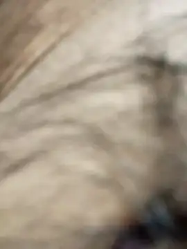 Snapshot of devilisinside9 chatting on March 2025 06:14:01 PM devilisinside9 online show from March 2025 06:14:01 PM