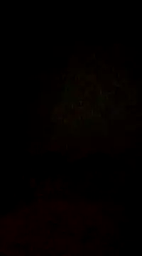 lobomisterioso13 online show from February 2025 02:14:02 AM