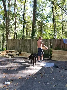 Buffshagswell online show from October 2025 04:08:01 PM