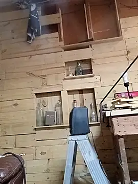 Buffshagswell online show from November 2025 03:00:02 PM