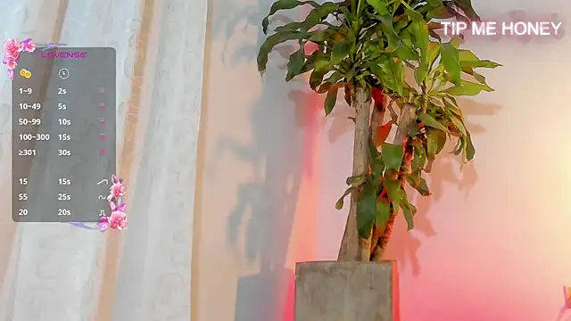 juanmiss online show from February 2025 09:41:01 AM