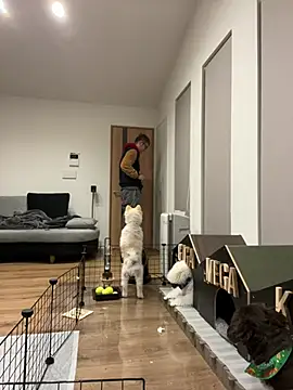 kensnb online show from January 2025 08:39:02 PM